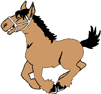 Hest